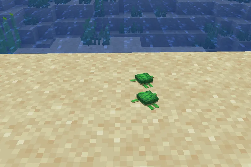 Minecraft Baby Turtles