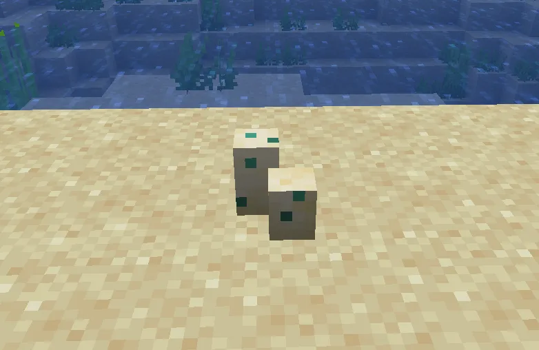 Minecraft Turtle Eggs first growth stage