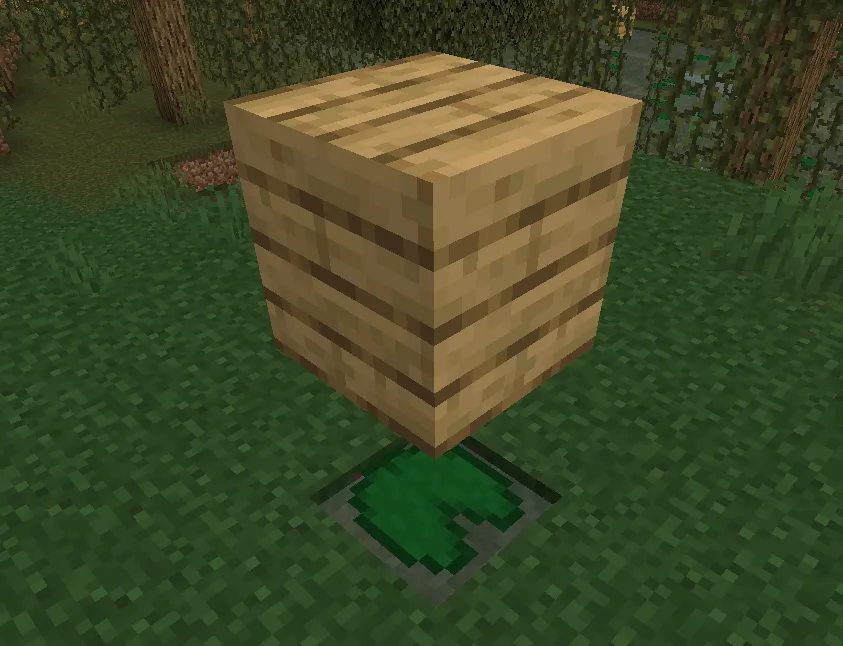 block on top of minecraft lily pad
