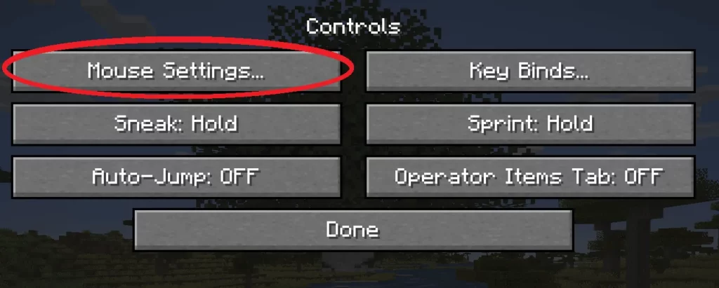 minecraft controls settings